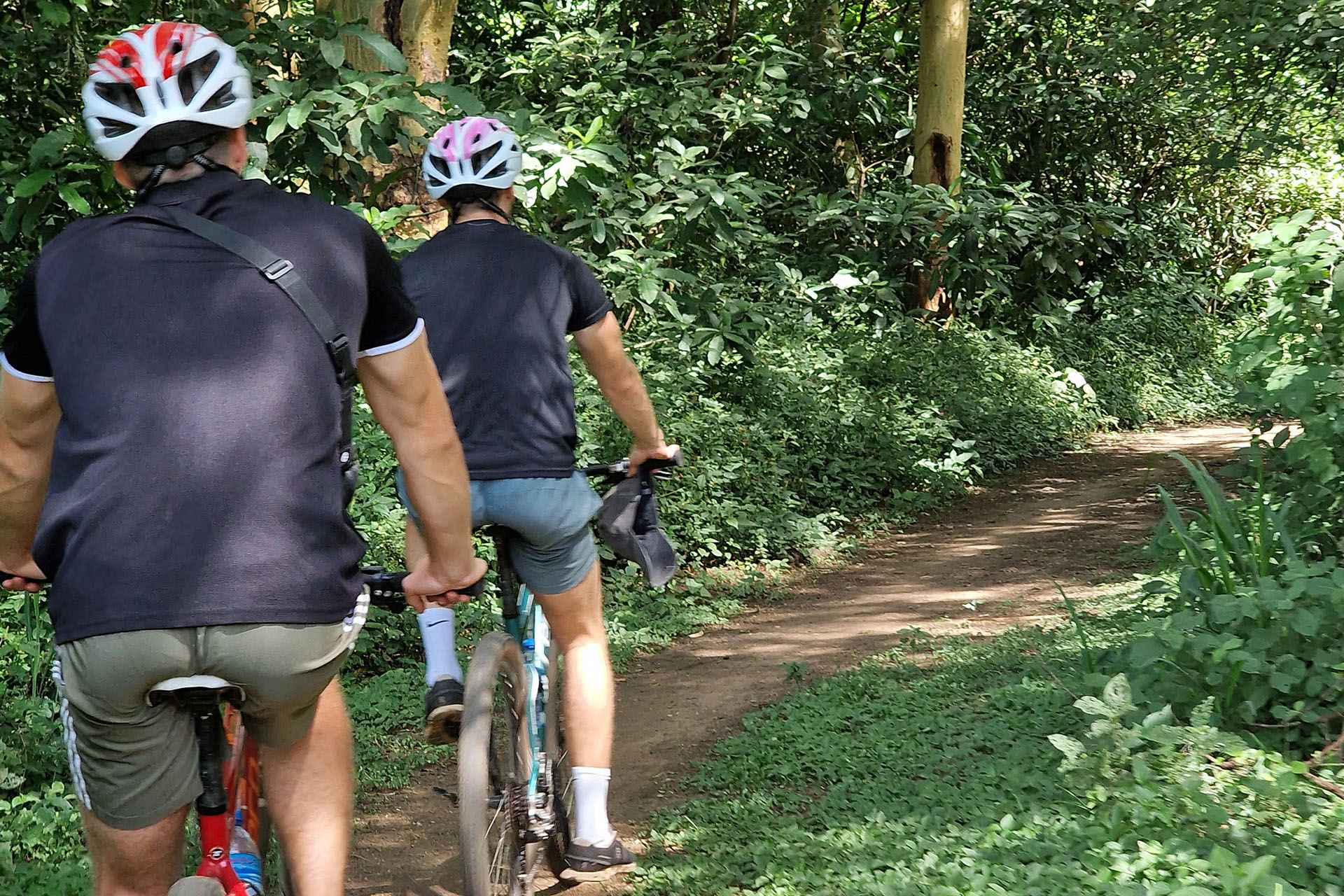 cycling rau forest 11zon